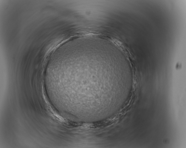 X0000113290097200909211113