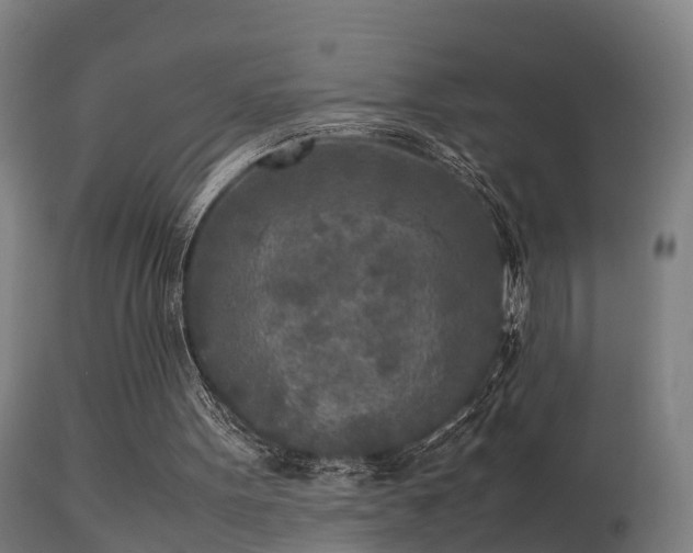 X0000113290099200909211113