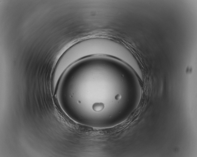 X0000113290100200909211113