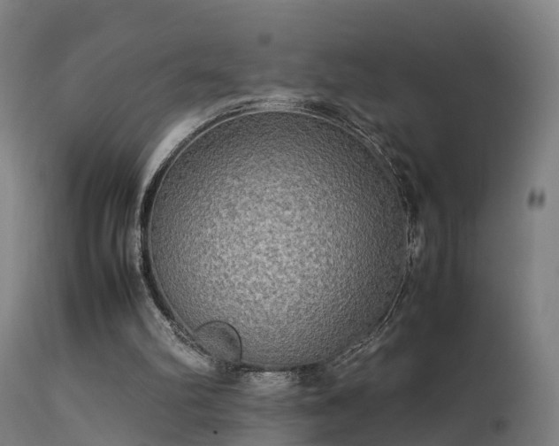 X0000113290102200909211113