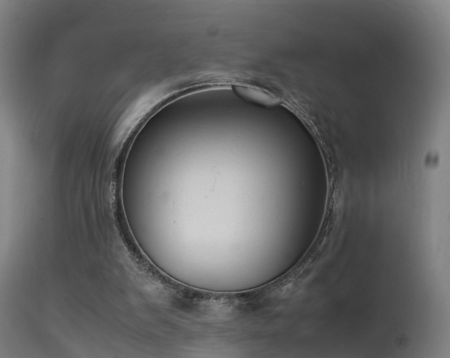 X0000113290103200909211113