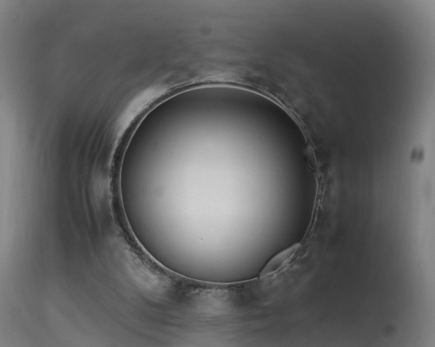 X0000113290104200909211113