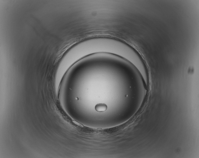 X0000113290105200909211113