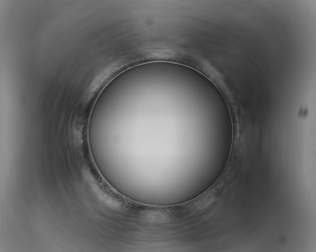 X0000113290106200909211113