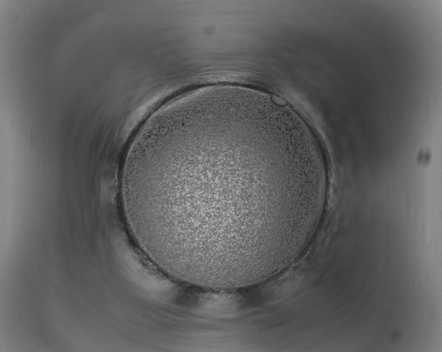 X0000113290107200909211113