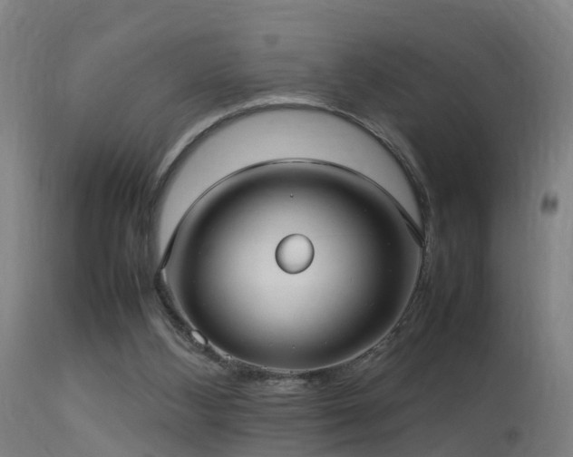 X0000113290108200909211113