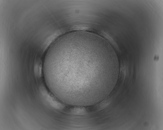 X0000113290110200909211113