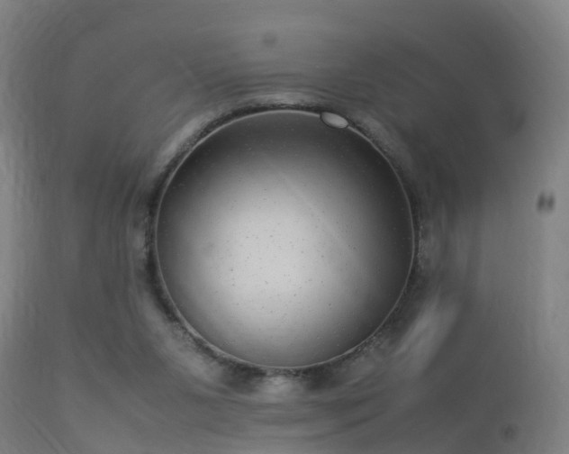 X0000113290111200909211113