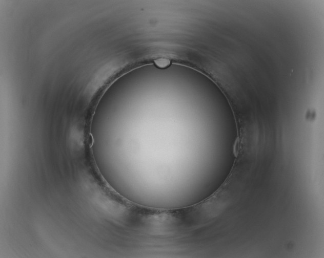 X0000113290112200909211113