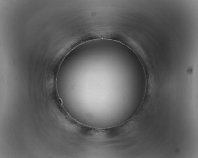 X0000113290113200909211113