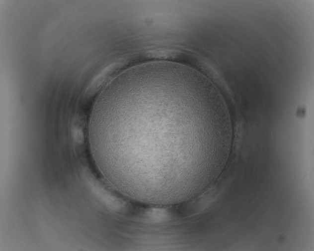 X0000113290114200909211113