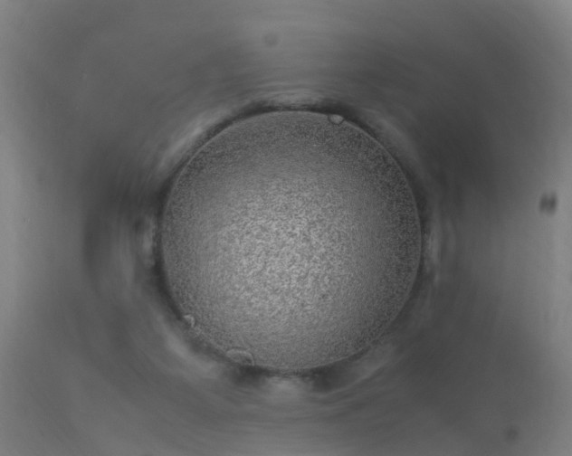 X0000113290115200909211113