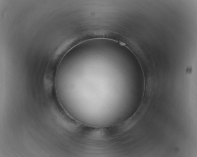 X0000113290116200909211113