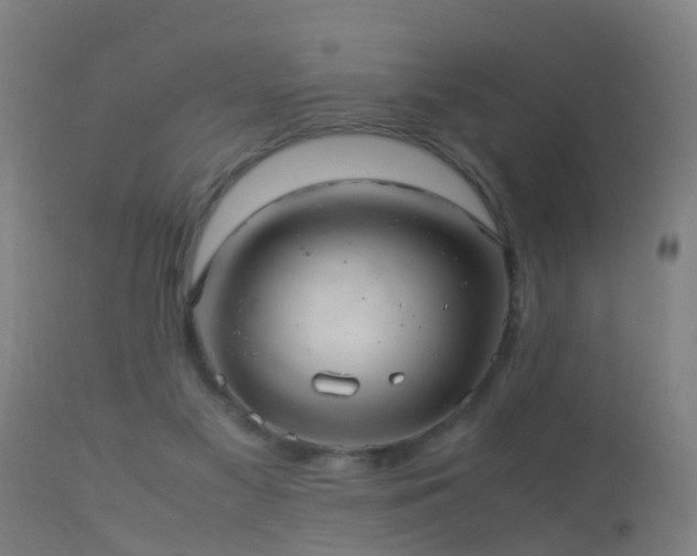 X0000113290117200909211112