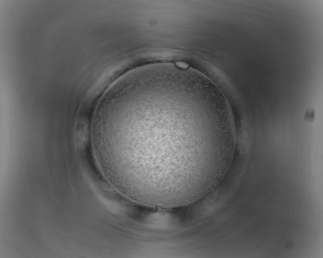 X0000113290119200909211112