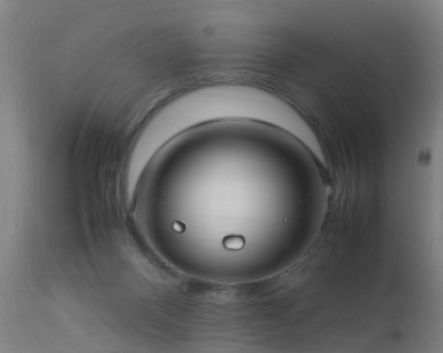 X0000113290120200909211112