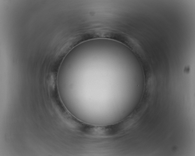 X0000113290121200909211112