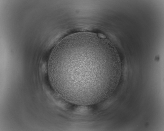 X0000113290123200909211112