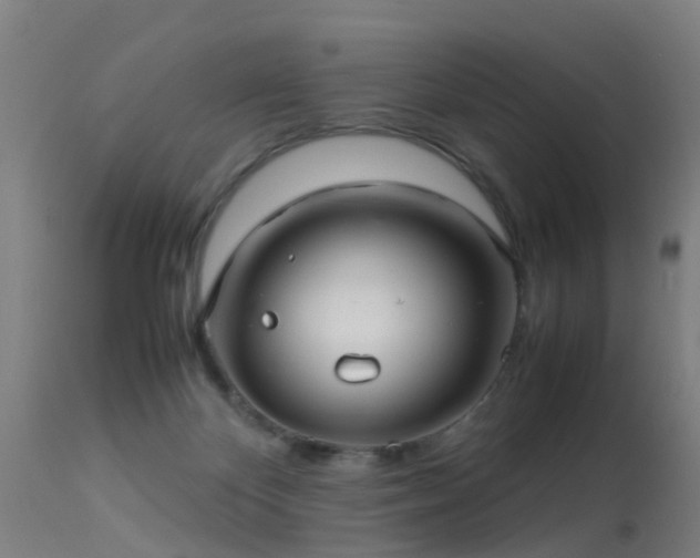 X0000113290124200909211112