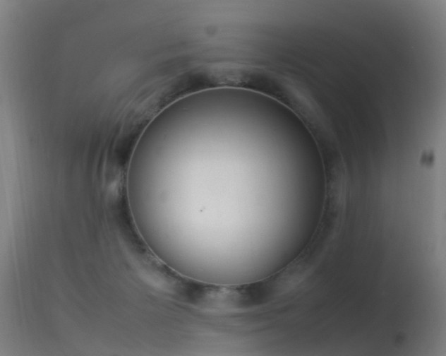 X0000113290125200909211112