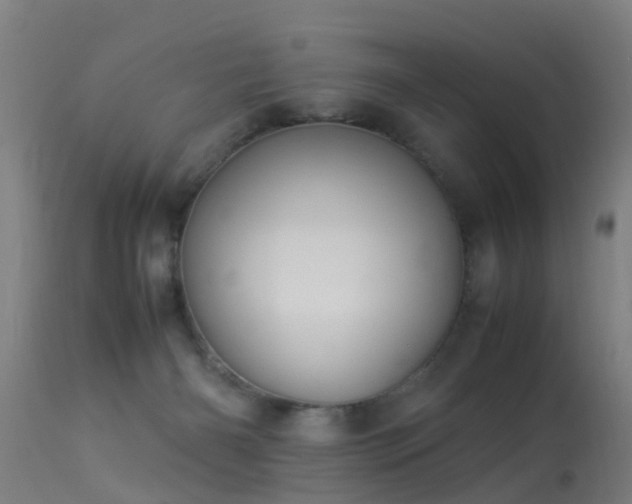 X0000113290126200909211112