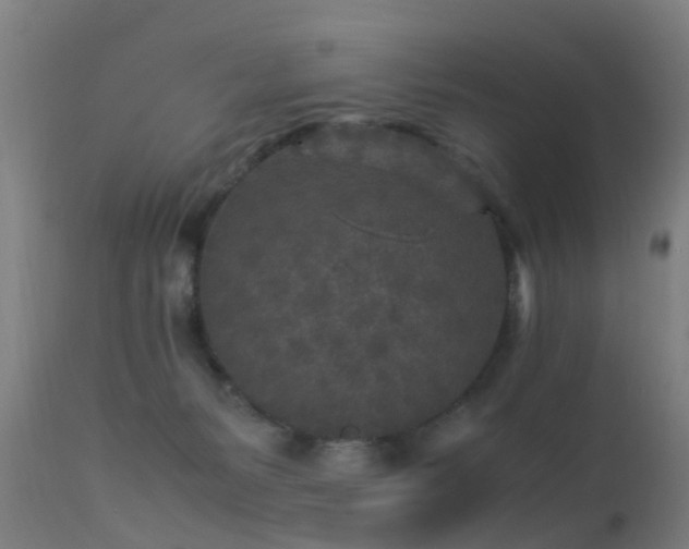 X0000113290127200909211112