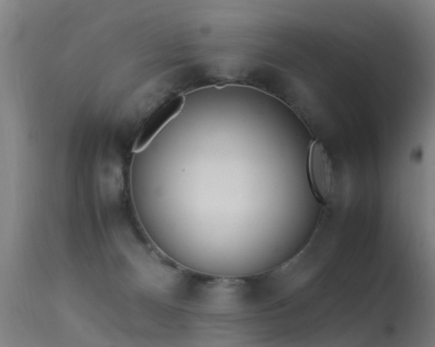 X0000113290128200909211112