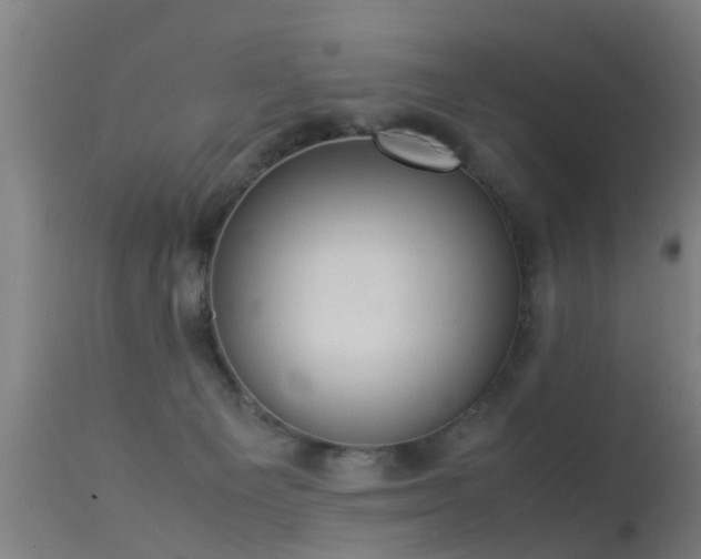 X0000113290129200909211112