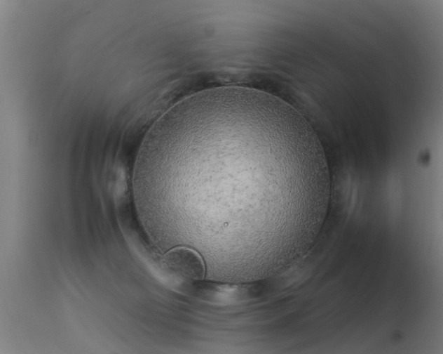 X0000113290130200909211112