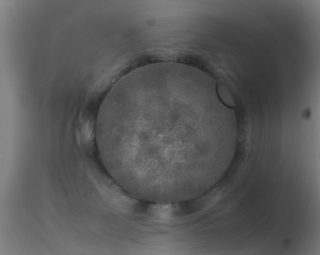 X0000113290131200909211112