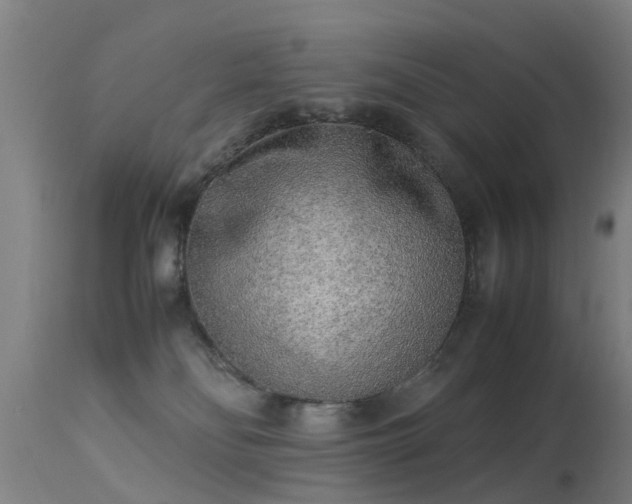 X0000113290134200909211112