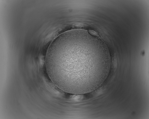 X0000113290135200909211112