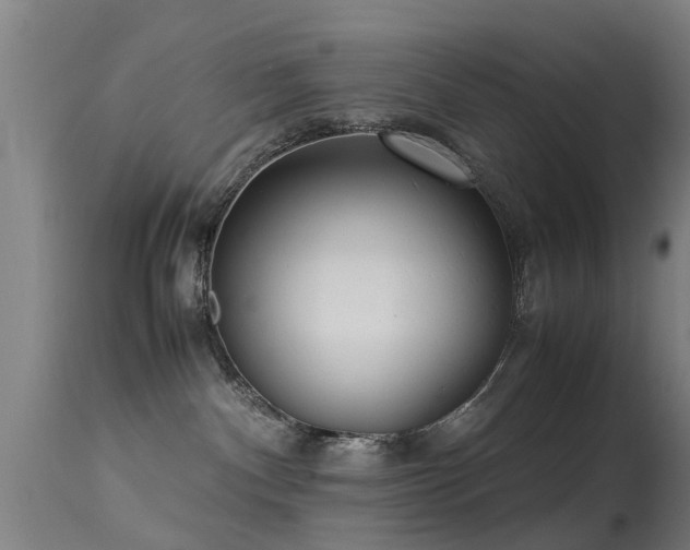 X0000113290140200909211112