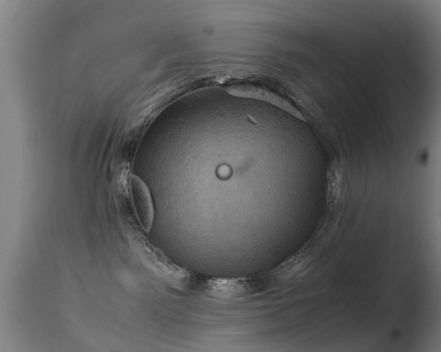 X0000113290141200909211112