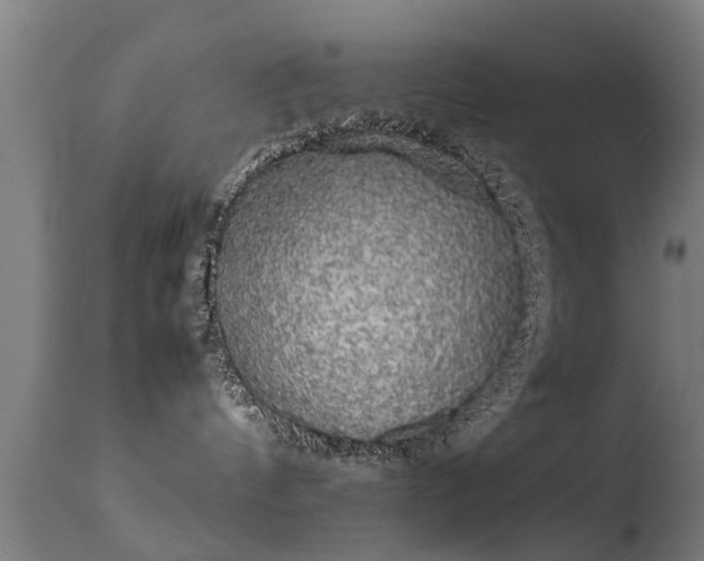 X0000113290144200909211112