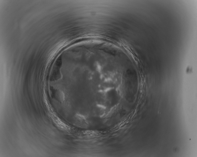 X0000113290145200909211111