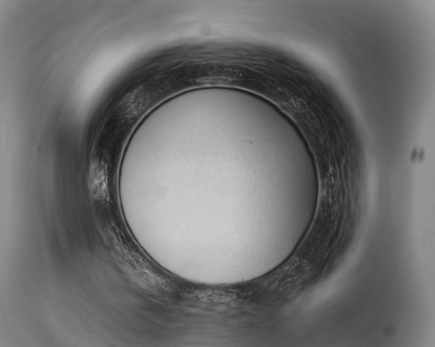 X0000113290146200909211111