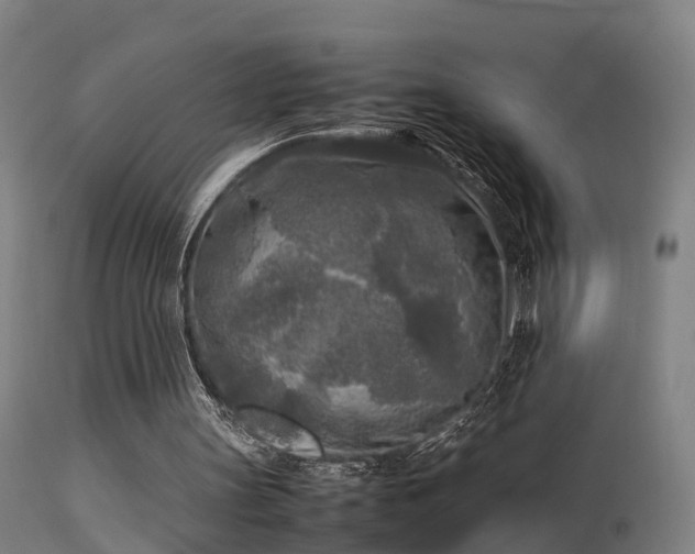 X0000113290147200909211111