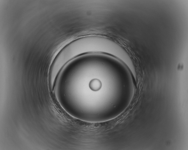 X0000113290148200909211111