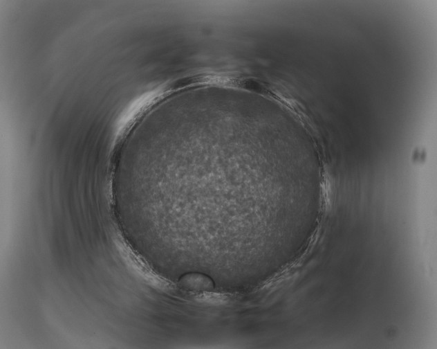 X0000113290149200909211111