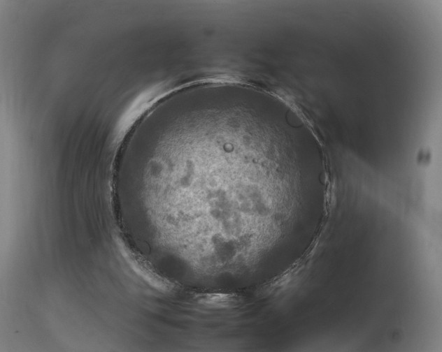 X0000113290151200909211111