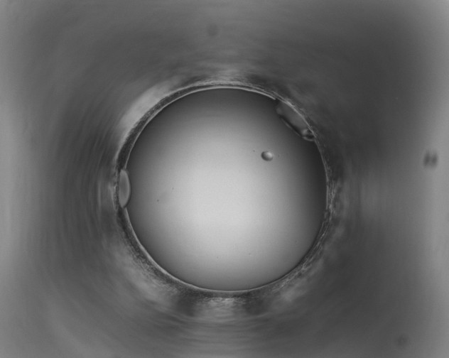 X0000113290152200909211111