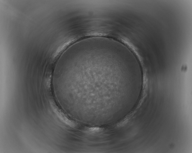 X0000113290153200909211111