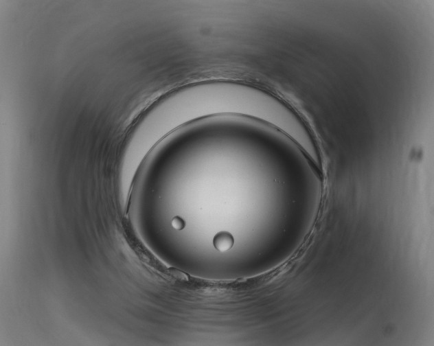 X0000113290154200909211111