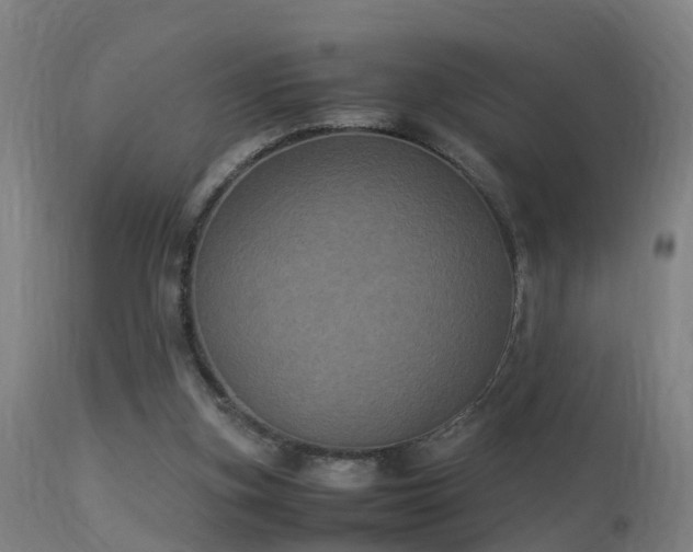 X0000113290155200909211111