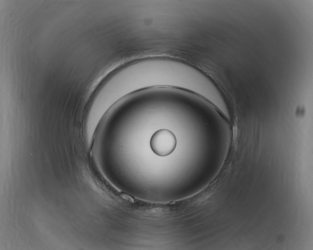 X0000113290156200909211111