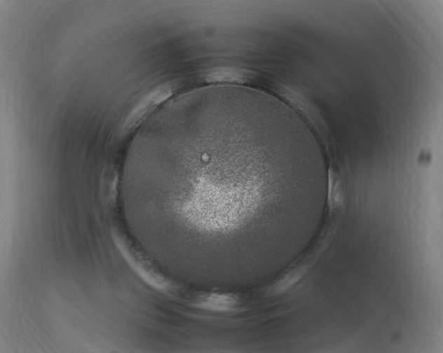 X0000113290157200909211112