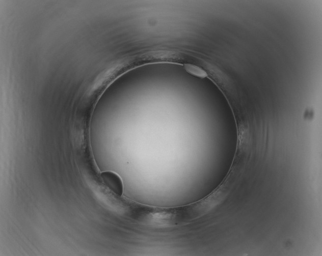 X0000113290158200909211112