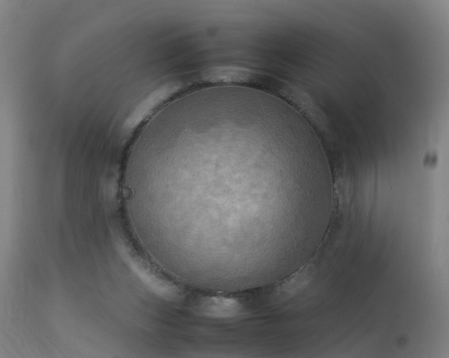 X0000113290159200909211112