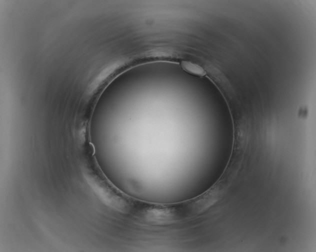 X0000113290160200909211112